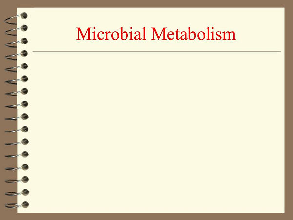Slide32.JPG