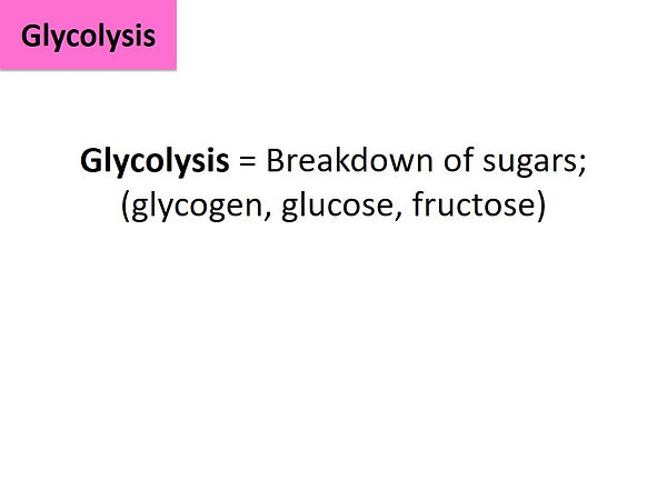 Slide2.JPG
