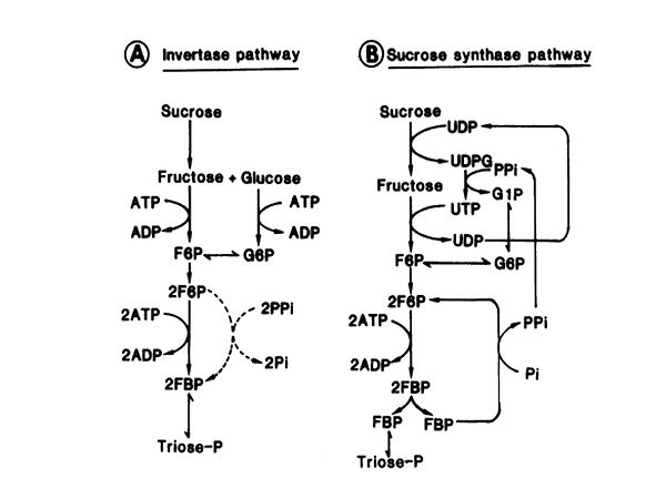 Slide26.JPG