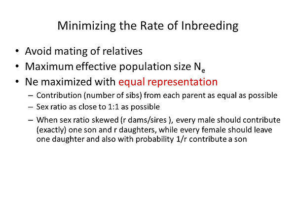 Slide38.JPG