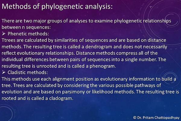 Slide17.JPG