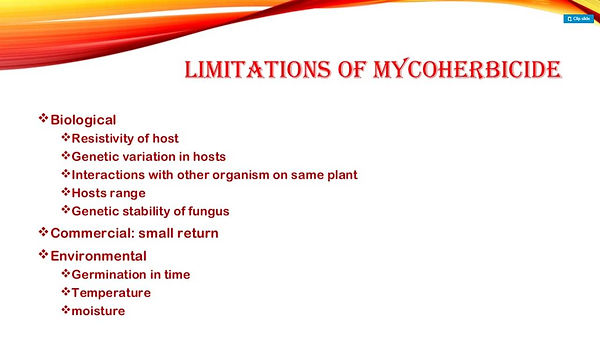 Slide174.JPG