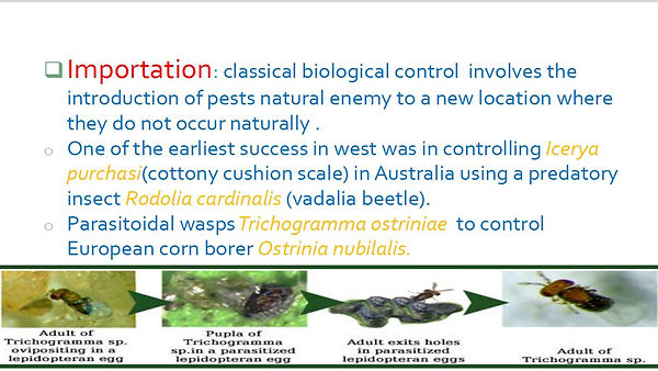 Slide152.JPG
