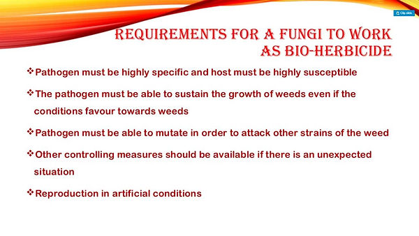 Slide173.JPG