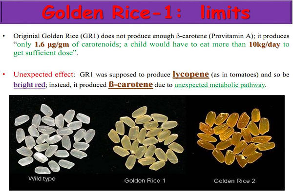 Slide70.JPG
