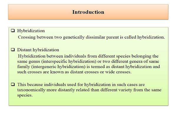 Slide80.JPG