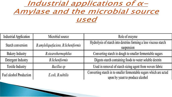 Slide152.JPG