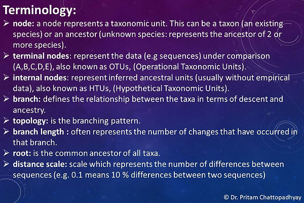Slide7.JPG