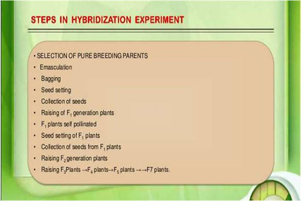 Slide114.JPG