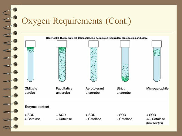 Slide9.JPG
