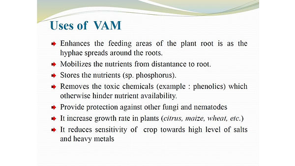Slide144.JPG
