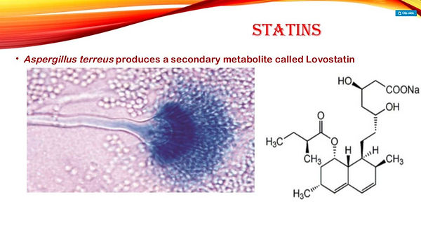Slide131.JPG