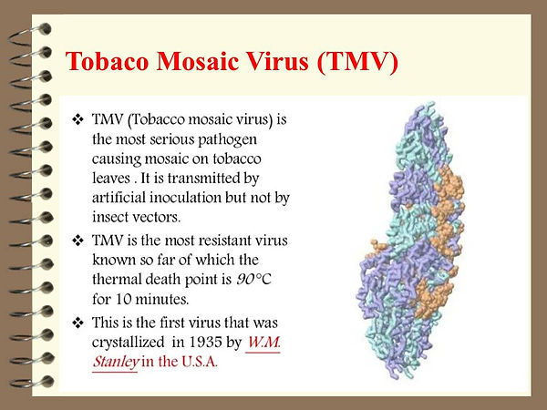 Slide50.JPG