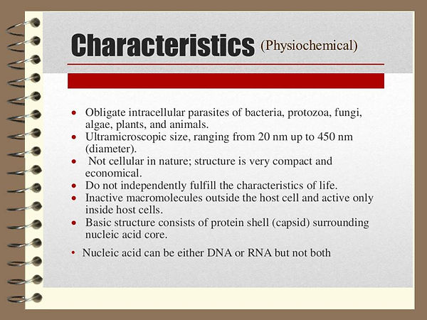 Slide11.JPG
