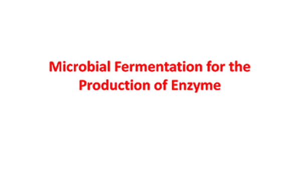 Slide111.JPG