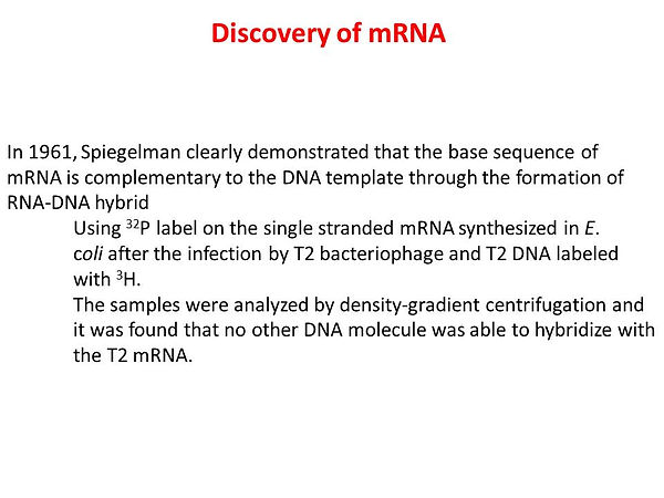Slide12.JPG