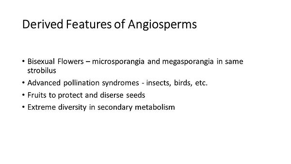 Slide48.JPG
