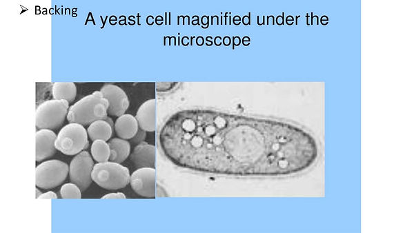 Slide33.JPG