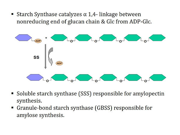 Slide33.JPG