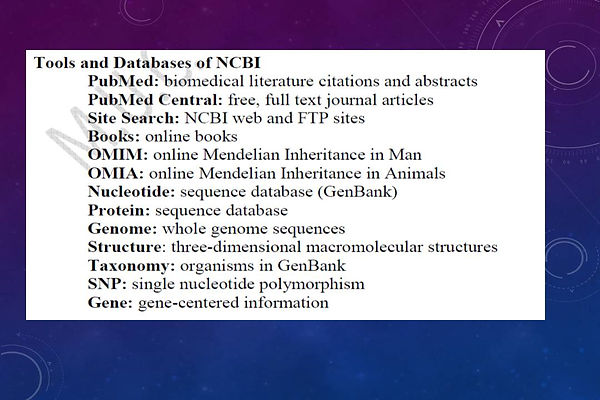Slide5.JPG