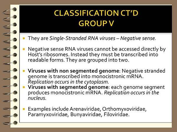 Slide24.JPG