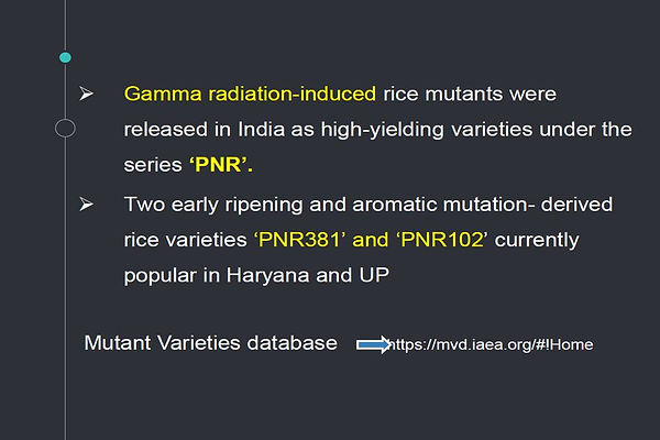 Slide37.JPG