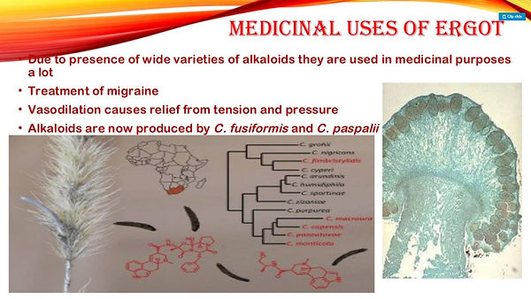 Slide129.JPG