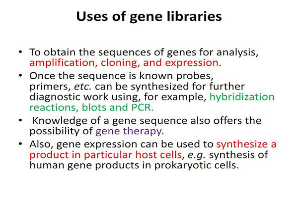Slide68.JPG