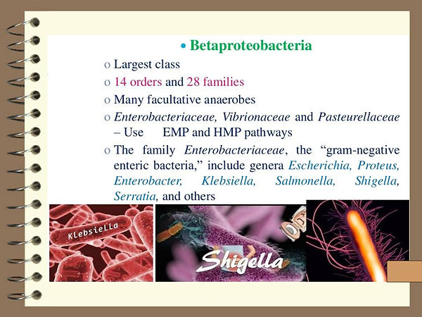 Slide55.JPG