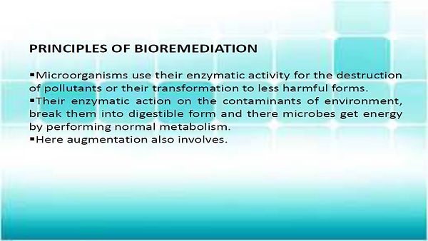 Slide63.JPG