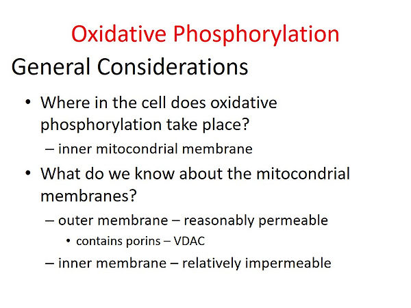 Slide32.JPG