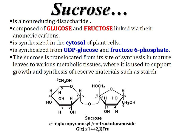 Slide3.JPG