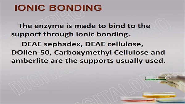 Slide47.JPG