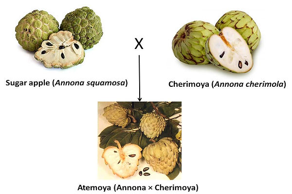 Slide108.JPG
