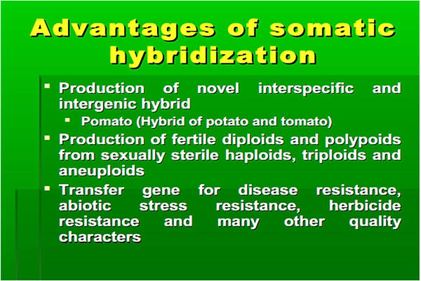 Slide134.JPG