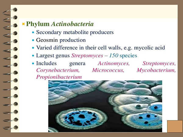 Slide67.JPG