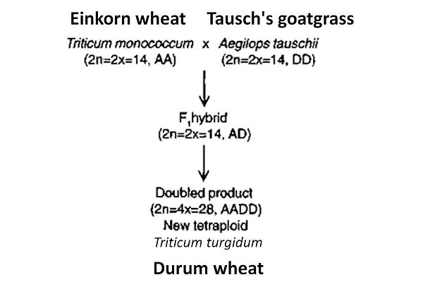 Slide111.JPG