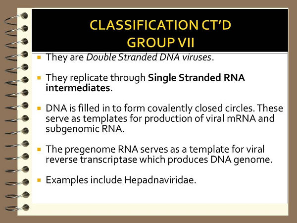 Slide26.JPG