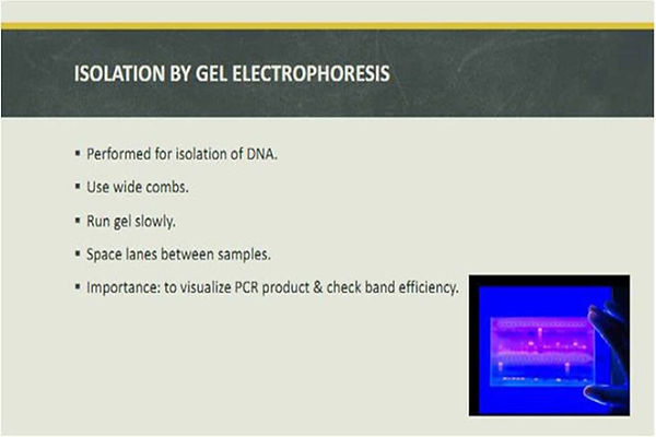 Slide53.JPG