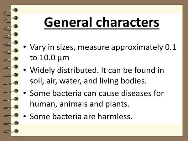 Slide24.JPG