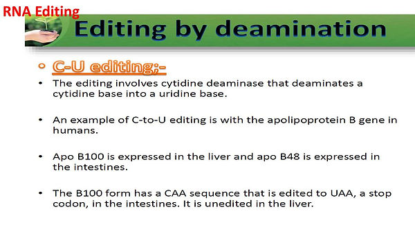 Slide74.JPG