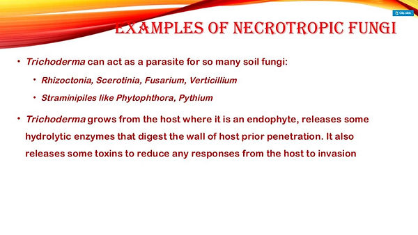 Slide158.JPG