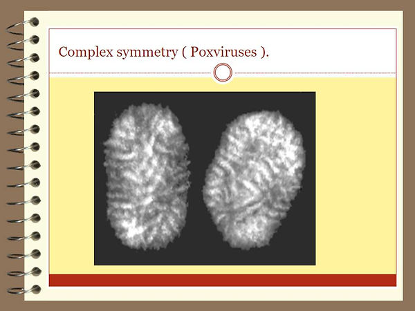 Slide42.JPG