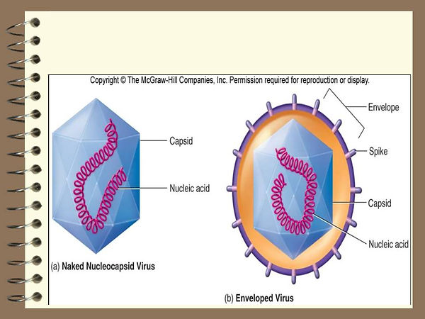 Slide44.JPG