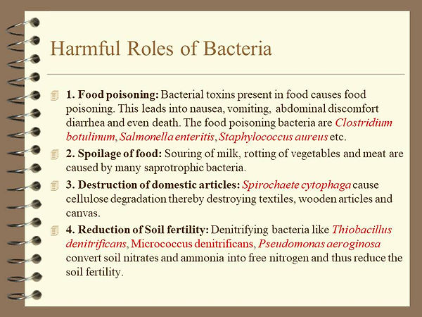 Slide66.JPG