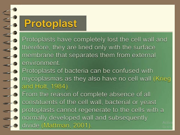 Slide102.JPG