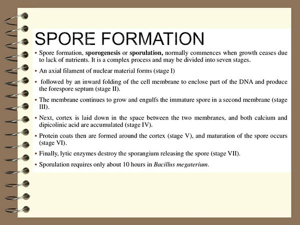 Slide229.JPG