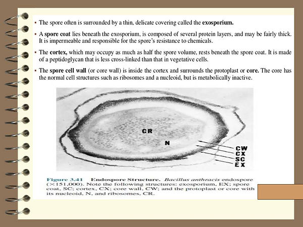 Slide227.JPG