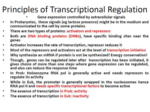 Slide53.JPG
