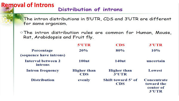 Slide26.JPG